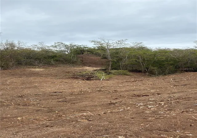 Photo 4 of Land for sale at Barrio Costa Solar No 3 #NO, Lajas, PR 00667 | MLS# PR9123393 | Listing updated on 2026-08-17