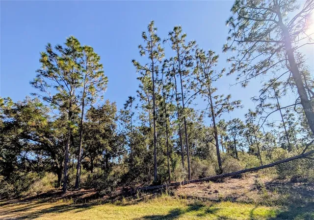 2nd image of 609 Indian Lake Dr, Indian Lake Estates, FL 33855 | MLS# S5155601