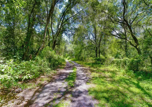 Land for sale at 3801 Pate Rd, ZEPHYRHILLS, FL 33541 | MLS# TB8538786