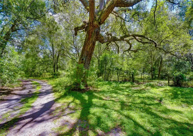 Photo 1 of Land for sale at 3801 Pate Rd, Zephyrhills, FL 33541 | MLS# TB8538786 | Listing updated on 2026-08-19