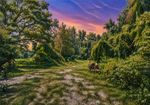 Photo 4 of Land for sale at 3801 Pate Rd, Zephyrhills, FL 33541 | MLS# TB8538786 | Listing updated on 2026-08-19