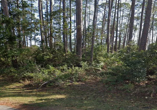 1st image of 21 Erickson Pl, Palm Coast, FL 32164 | MLS# FC320683