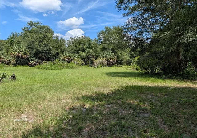 Photo 14 of Single family home for sale at 876 Shaw Lake Rd, PIERSON, FL 32180 | MLS# R4911818 | Listing updated on 2026-10-01