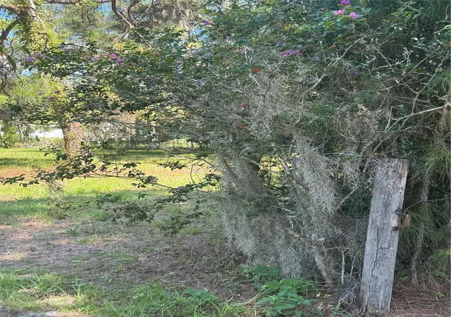5th image of 29244 Sanibel Dr, Wesley Chapel, FL 33544 | MLS# TB8538975