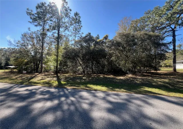 2nd image of 00 Sw 196th Ave, Dunnellon, FL 34431 | MLS# TB8538979