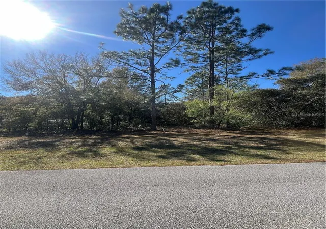3rd image of 00 Sw 196th Ave, Dunnellon, FL 34431 | MLS# TB8538979