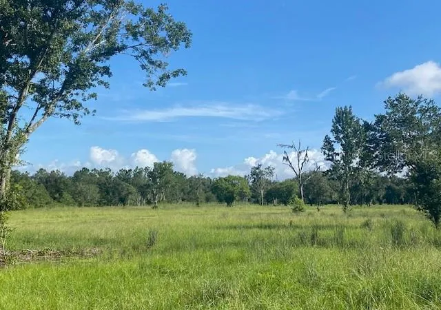 Photo 3 of Land for sale at 5840 Bob Smith Ave, Plant City, FL 33565 | MLS# TB8538997 | Listing updated on 2026-08-18