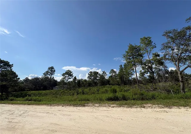 4th image of Sw 85Th Pl, Ocala, FL 34481 | MLS# OM730445