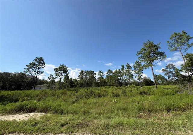 5th image of Sw 85Th Pl, Ocala, FL 34481 | MLS# OM730445