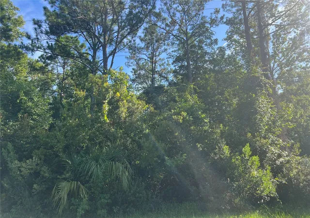 4th image of 26 Baltimore Ln, Palm Coast, FL 32137 | MLS# FC320697