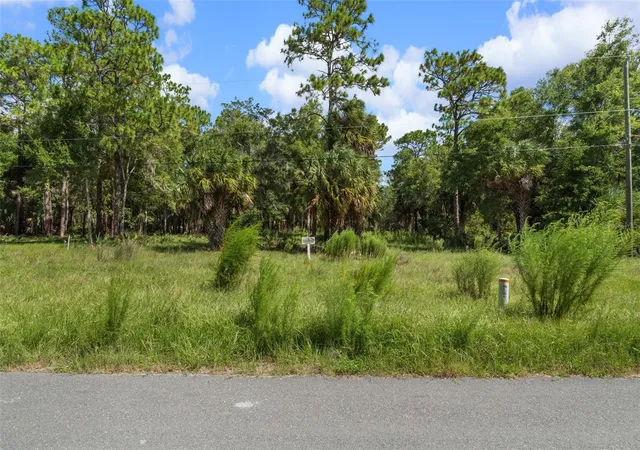 4th image of 13707 W Foss Groves Path, Inglis, FL 34449 | MLS# OM730473