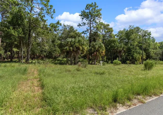 5th image of 13707 W Foss Groves Path, Inglis, FL 34449 | MLS# OM730473