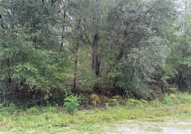 1st image of Tbd Sw 125th Terrace, Dunnellon, FL 34432 | MLS# OM730475
