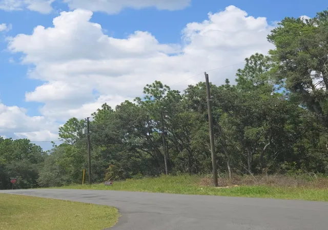 Photo 3 of Land for sale at Tbd SW 62nd Ct, Ocala, FL 34470 | MLS# O6433863 | Listing updated on 2026-08-17