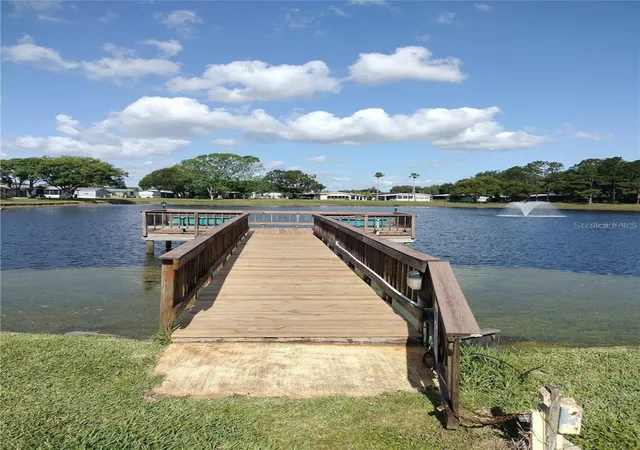 44th image of 34145 Brown Bayou, Wesley Chapel, FL 33543 | MLS# TB8539193