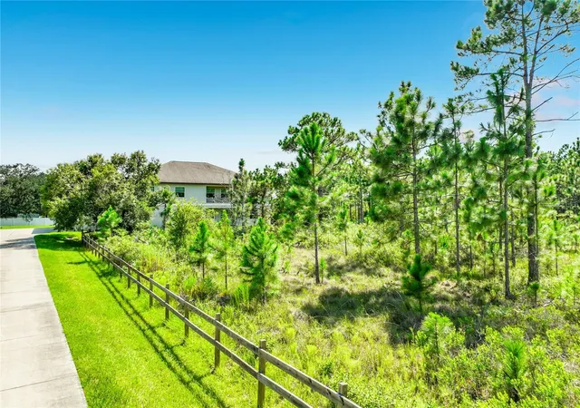 4th image of 19504 Robertson Street, Orlando, FL 32833 | MLS# TB8539197