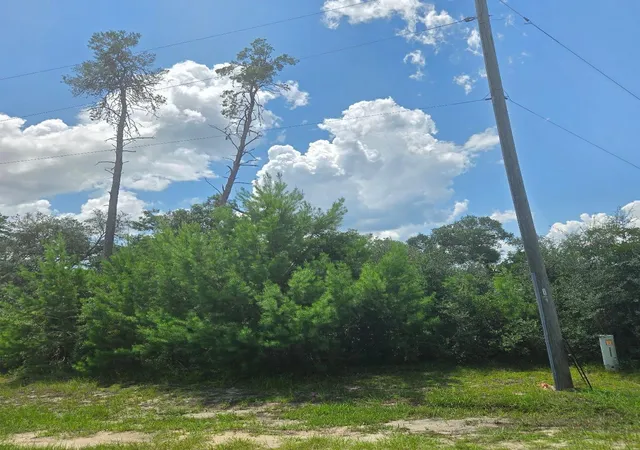 Photo 2 of Land for sale at Tbd Sw 22nd Terr Rd, Ocala, FL 34473 | MLS# O6433880 | Listing updated on 2026-08-17