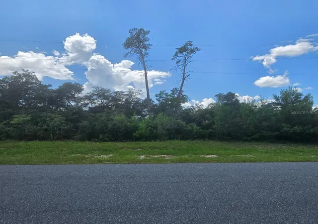 Photo 3 of Land for sale at Tbd SW 22nd Terr Rd, Ocala, FL 34473 | MLS# O6433880 | Listing updated on 2026-08-17