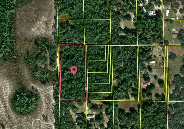 Photo 3 of Land for sale at Xx, Citra, FL 32113 | MLS# S5155695 | Listing updated on 2026-08-20