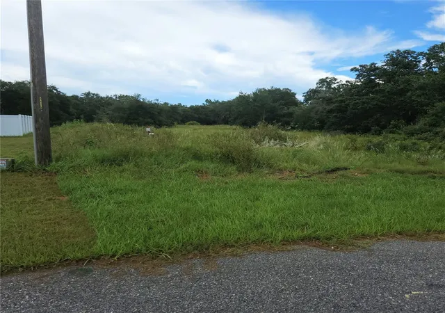 2nd image of 1621 Pickerel Ct, Kissimmee, FL 34759 | MLS# O6433937