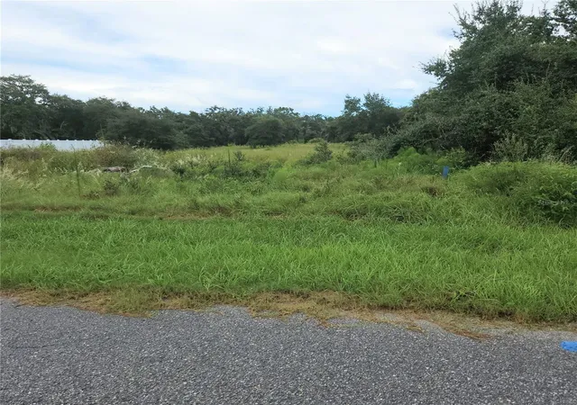 3rd image of 1621 Pickerel Ct, Kissimmee, FL 34759 | MLS# O6433937