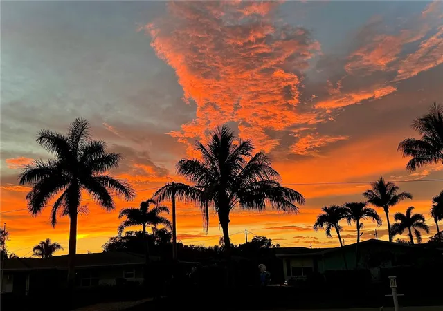 Photo 56 of Single family home for sale at 3207 Valencia Rd, Venice, FL 34293 | MLS# N6145384 | Listing updated on 2026-09-02
