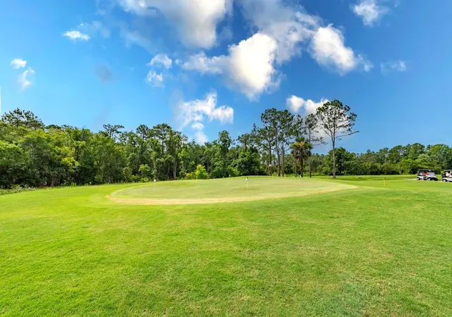 47th image of 5039 Greenbriar Trl, Mount Dora, FL 32757 | MLS# G5116531