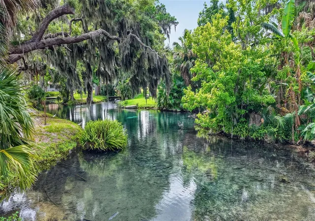 63rd image of 46 Palm Dr, Yalaha, FL 34797 | MLS# O6433995