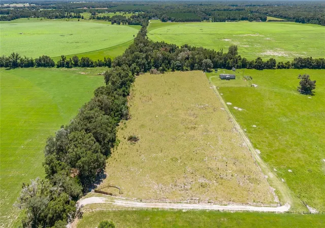 Photo 3 of Land for sale at NW 65th Avenue, Trenton, FL 32693 | MLS# GC542789 | Listing updated on 2026-09-29