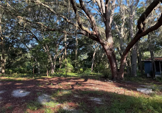 8th image of 13799 Ne 47th Ave, Anthony, FL 32617 | MLS# OM730512