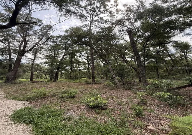 Photo 2 of Land for sale at 8431 Nw 60 Avenue, Chiefland, FL 32626 | MLS# GC542792 | Listing updated on 2026-10-07
