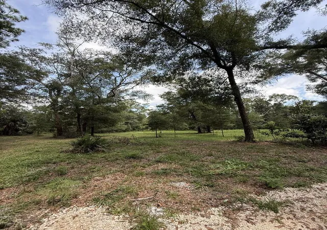 Photo 3 of Land for sale at 8431 Nw 60 Avenue, Chiefland, FL 32626 | MLS# GC542792 | Listing updated on 2026-10-07
