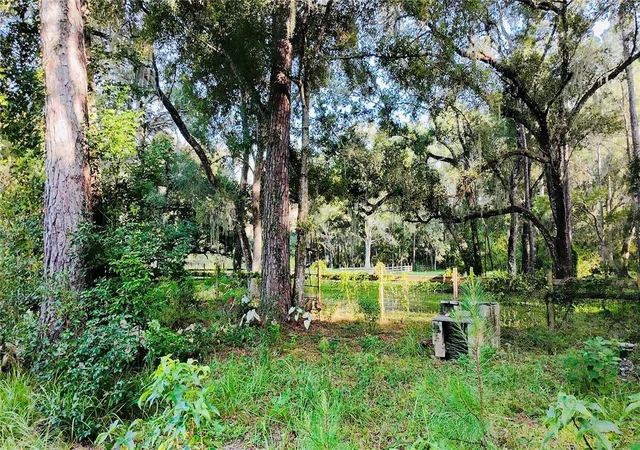 5th image of 1066 Culbreath Rd, Brooksville, FL 34602 | MLS# O6434053