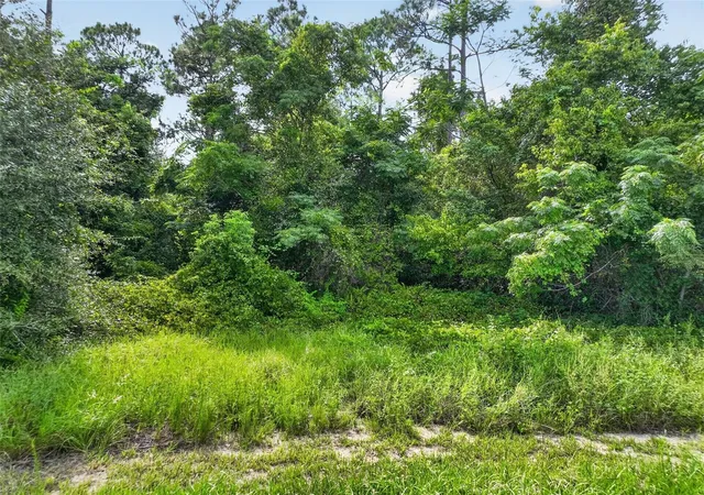 15th image of Dudley Ave, Mount Dora, FL 32757 | MLS# G5116552