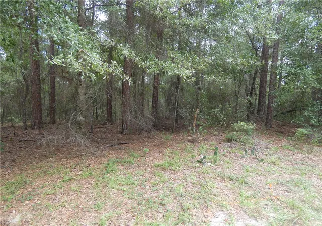 Photo 3 of Land for sale at 10075 N Biscayne Dr, Citrus Springs, FL 34434 | MLS# OM730525 | Listing updated on 2026-08-31