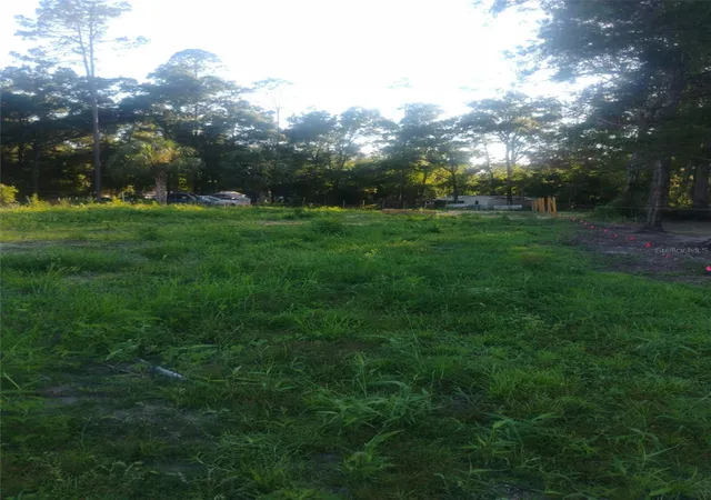Photo 5 of Land for sale at 587 Marshburn Dr, Bronson, FL 32621 | MLS# TB8539483 | Listing updated on 2026-08-18