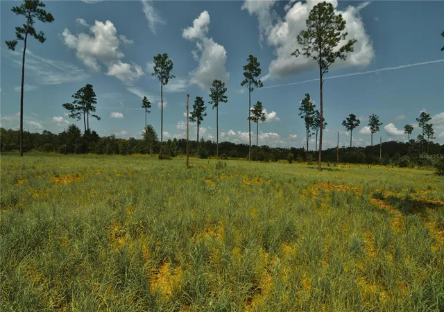 Photo 2 of Land for sale at 00 99th Lane, Live Oak, FL 32060 | MLS# OM730527 | Listing updated on 2026-08-18