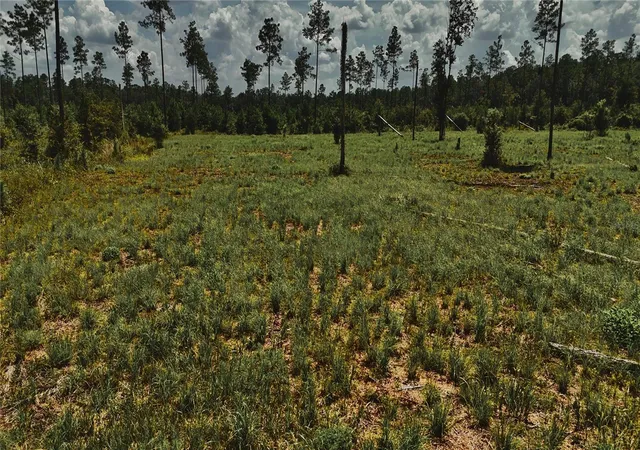 Photo 3 of Land for sale at 00 99th Lane, Live Oak, FL 32060 | MLS# OM730527 | Listing updated on 2026-08-18