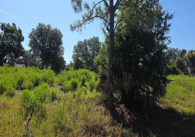 Photo 3 of Land for sale at Chamrade Rd, North Port, FL 34288 | MLS# C7529658 | Listing updated on 2026-08-18