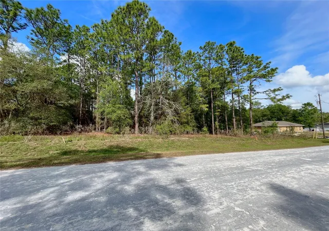Photo 3 of Land for sale at 0 Southwest 140th Ct, Ocala, FL 34481 | MLS# OM730540 | Listing updated on 2026-08-18