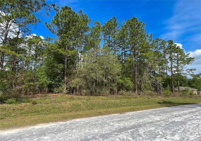 4th image of 0 Sw 140th Court, Ocala, FL 34481 | MLS# OM730540