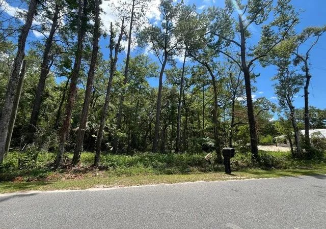 Photo 1 of Land for sale at Tbd Franklin Dr, Crawfordville, FL 32327 | MLS# K4903707 | Listing updated on 2026-09-23