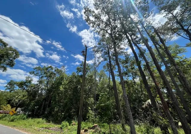 Photo 3 of Land for sale at Tbd Franklin Dr, Crawfordville, FL 32327 | MLS# K4903707 | Listing updated on 2026-09-23