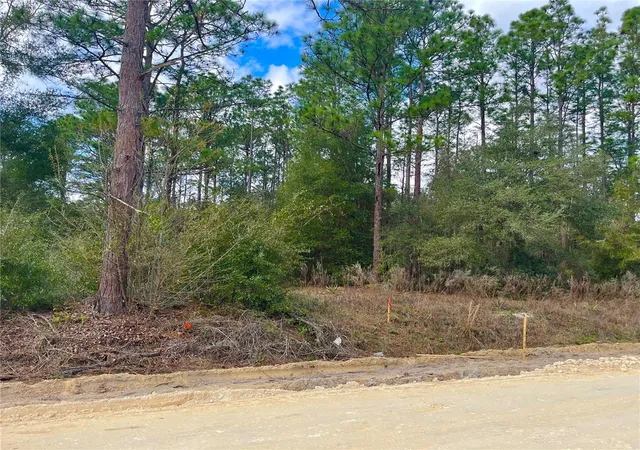 1st image of 0 Sw 152nd Ter, Ocala, FL 34481 | MLS# OM730551