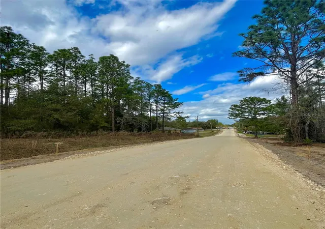Photo 3 of Land for sale at 0 Southwest 152nd Ter, Ocala, FL 34481 | MLS# OM730551 | Listing updated on 2026-08-25