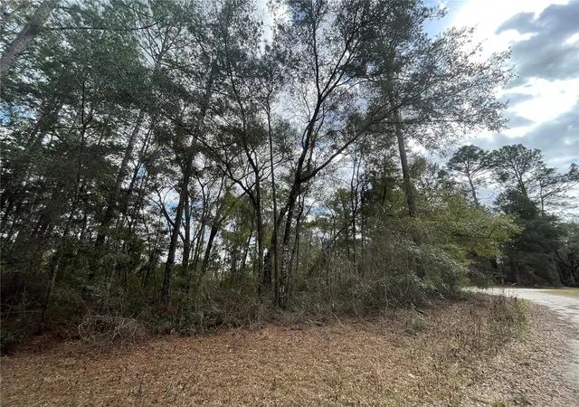 4th image of 0 Sw 152nd Ter, Ocala, FL 34481 | MLS# OM730551