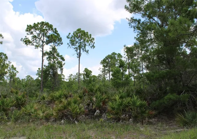 3rd image of 1830 Oleaster Ave, Sebring, FL 33875 | MLS# TB8539669