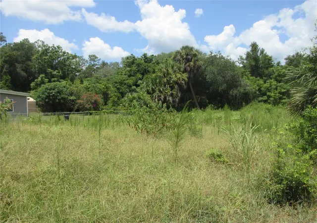 Photo 4 of Land for sale at Tbd SE 19th Street, Silver Springs, FL 34488 | MLS# OM730576 | Listing updated on 2026-08-18