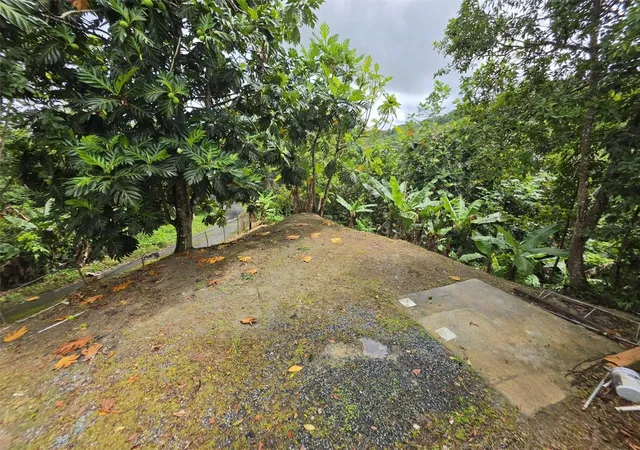 Photo 3 of Sale Pending at Pr 9920 Quebrada Arenas, San Lorenzo, PR 00754 | MLS# PR9123481 | Listing updated on 2026-09-03