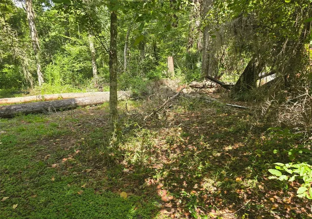 3rd image of Tbd Nw Spring Hollow Blvd, Lake City, FL 32055 | MLS# GC542810